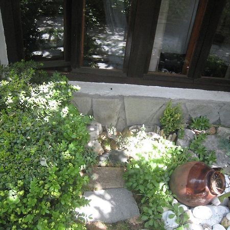 Guest House Voyno Добриниште Экстерьер фото