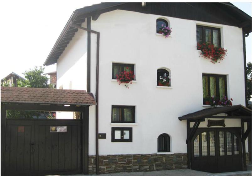 Guest House Voyno Добриниште Экстерьер фото