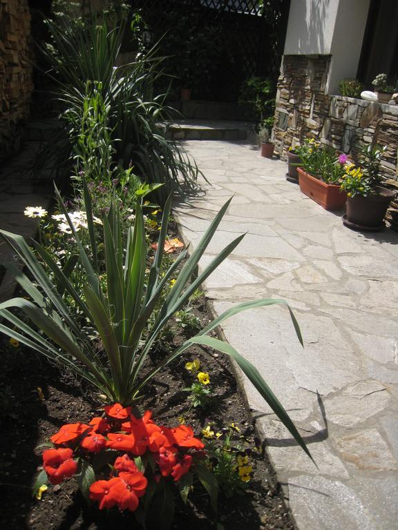 Guest House Voyno Добриниште Экстерьер фото